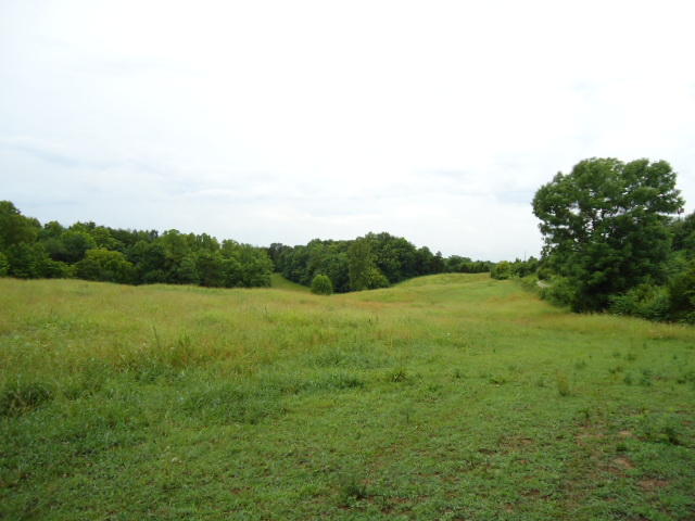 21.34-acre Baptist Ridge Road Hilham, TN 38568 - Photo 7 of 35 06