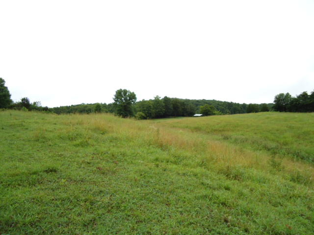 21.34-acre Baptist Ridge Road Hilham, TN 38568 - Photo 8 of 35 07