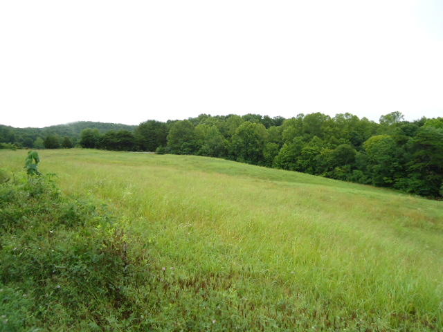 21.34-acre Baptist Ridge Road Hilham, TN 38568 - Photo 9 of 35 08