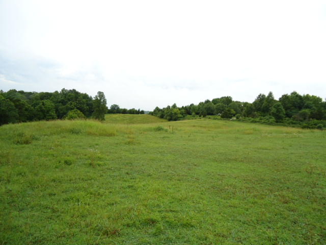21.34-acre Baptist Ridge Road Hilham, TN 38568 - Photo 10 of 35 09
