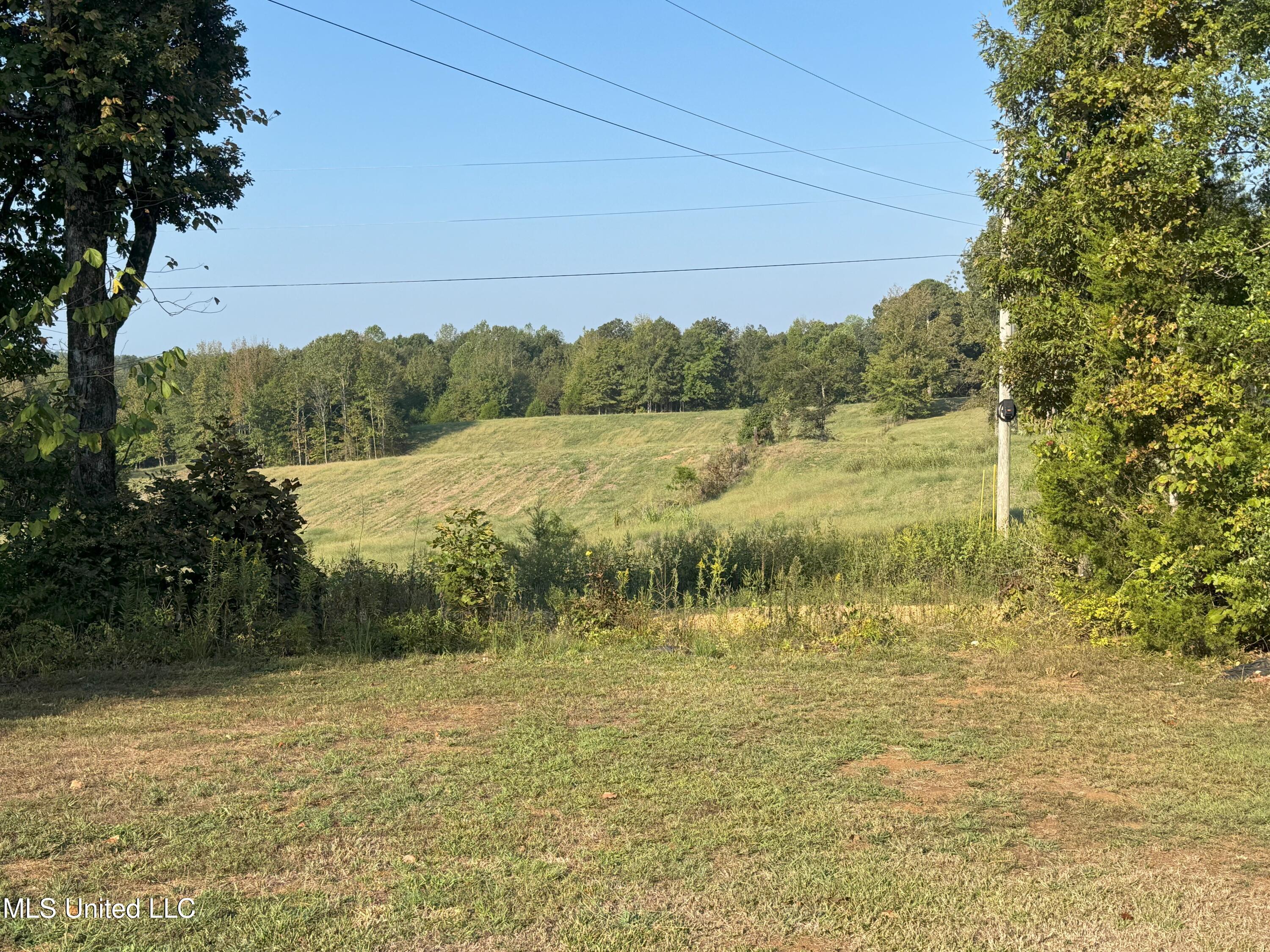 1113 New Salem Road Pontotoc, MS 38863 - Photo 31 of 34 IMG_3742