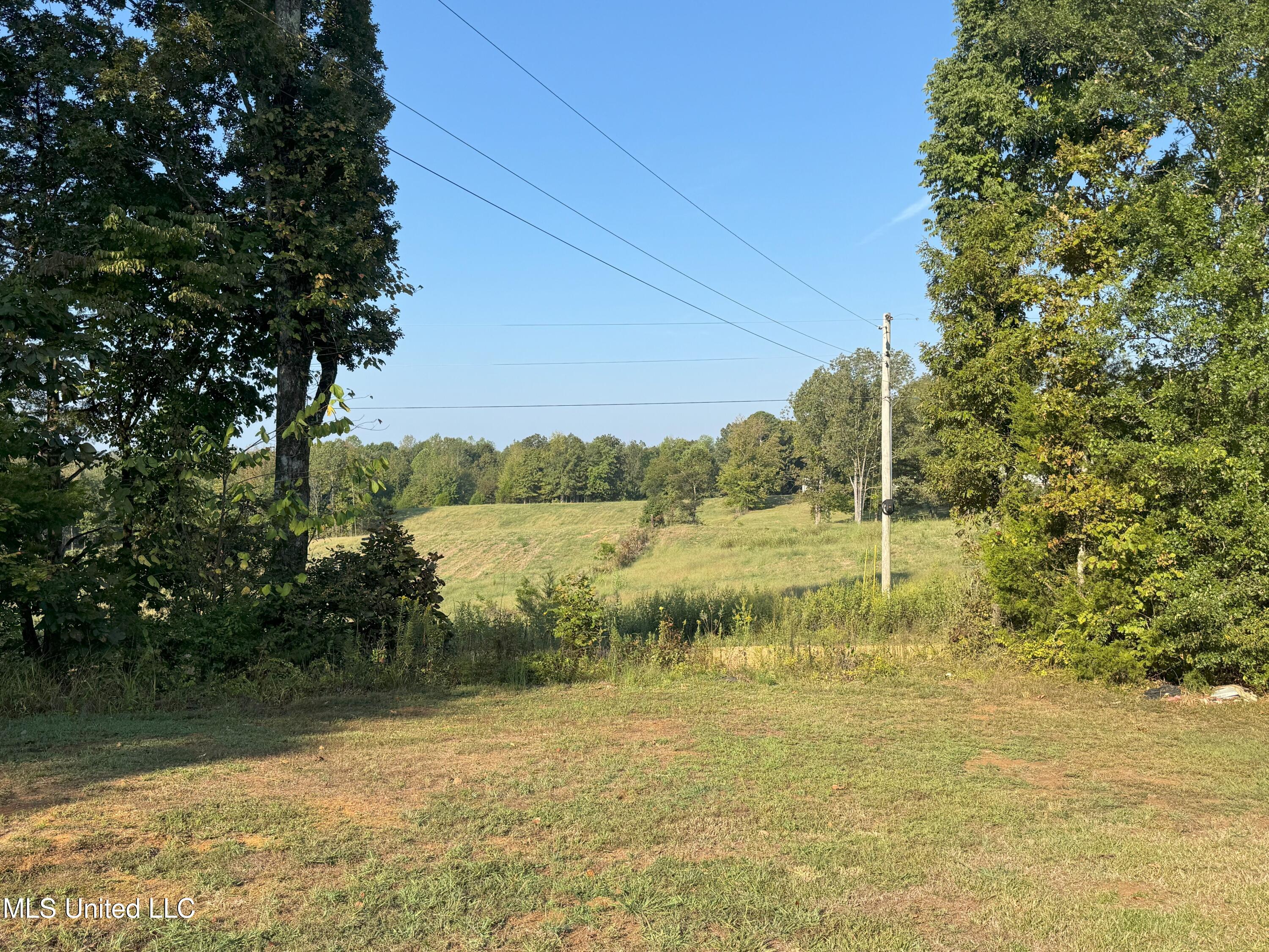 1113 New Salem Road Pontotoc, MS 38863 - Photo 34 of 34 IMG_3745