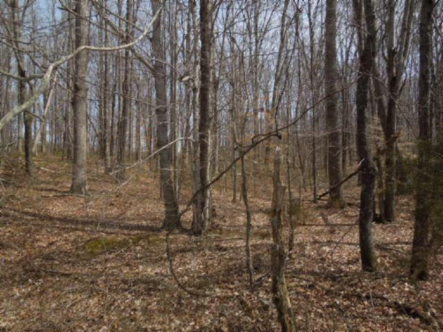 6.50-ac Hatcher Road Moss, TN 38575 - Photo 2 of 12 04