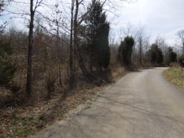 6.50-ac Hatcher Road Moss, TN 38575 - Photo 3 of 12 02