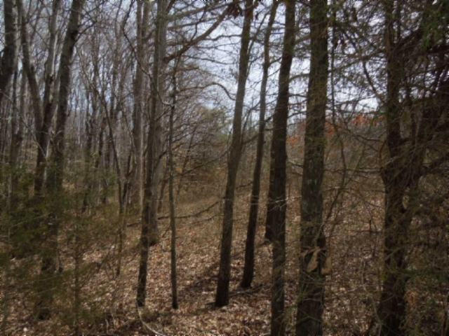 6.50-ac Hatcher Road Moss, TN 38575 - Photo 4 of 12 05