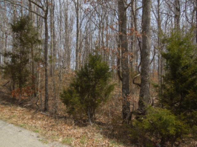 6.50-ac Hatcher Road Moss, TN 38575 - Photo 5 of 12 06