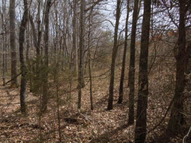 6.50-ac Hatcher Road Moss, TN 38575 - Photo 7 of 12 14
