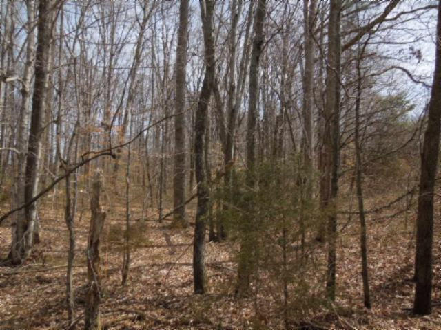 6.50-ac Hatcher Road Moss, TN 38575 - Photo 9 of 12 14