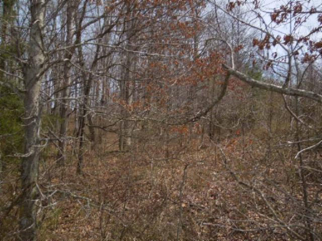 6.50-ac Hatcher Road Moss, TN 38575 - Photo 10 of 12 14