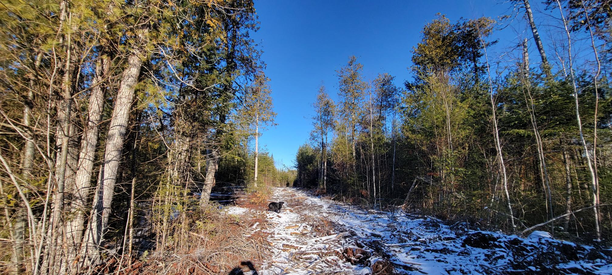 4 Spaulding Road Palmyra, ME 04965 - Photo 13 of 36 Lot 4