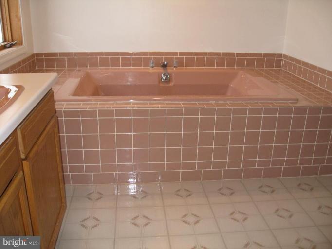 16214 Waterloo Road Amissville, VA 20106 - Photo 19 of 23 Master Bath #2