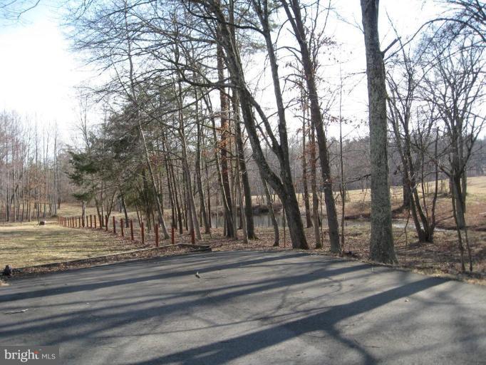 16214 Waterloo Road Amissville, VA 20106 - Photo 6 of 23 View from Unit