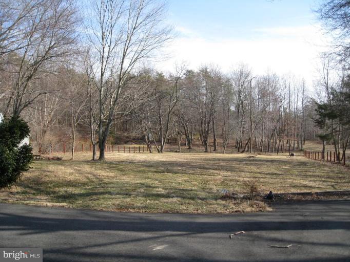 16214 Waterloo Road Amissville, VA 20106 - Photo 8 of 23 Back yard