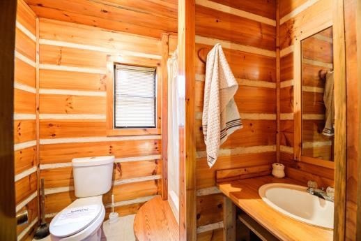 705 Chestnut Mountain Road Reliance, TN 37369 - Photo 20 of 35 Gallery Image 20