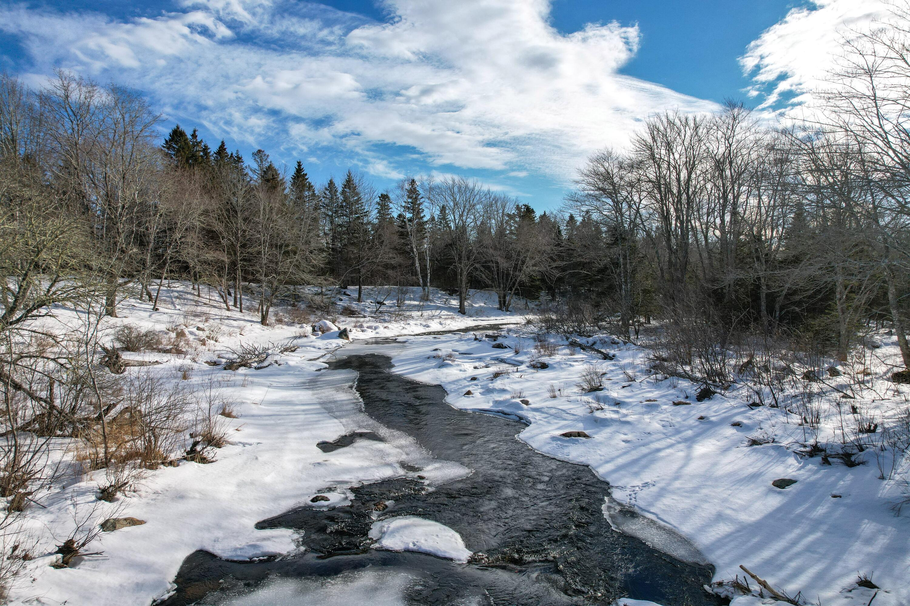 68 Village Road Steuben, ME 04680 - Photo 36 of 48 Tunk Stream running toward Joy Bay.