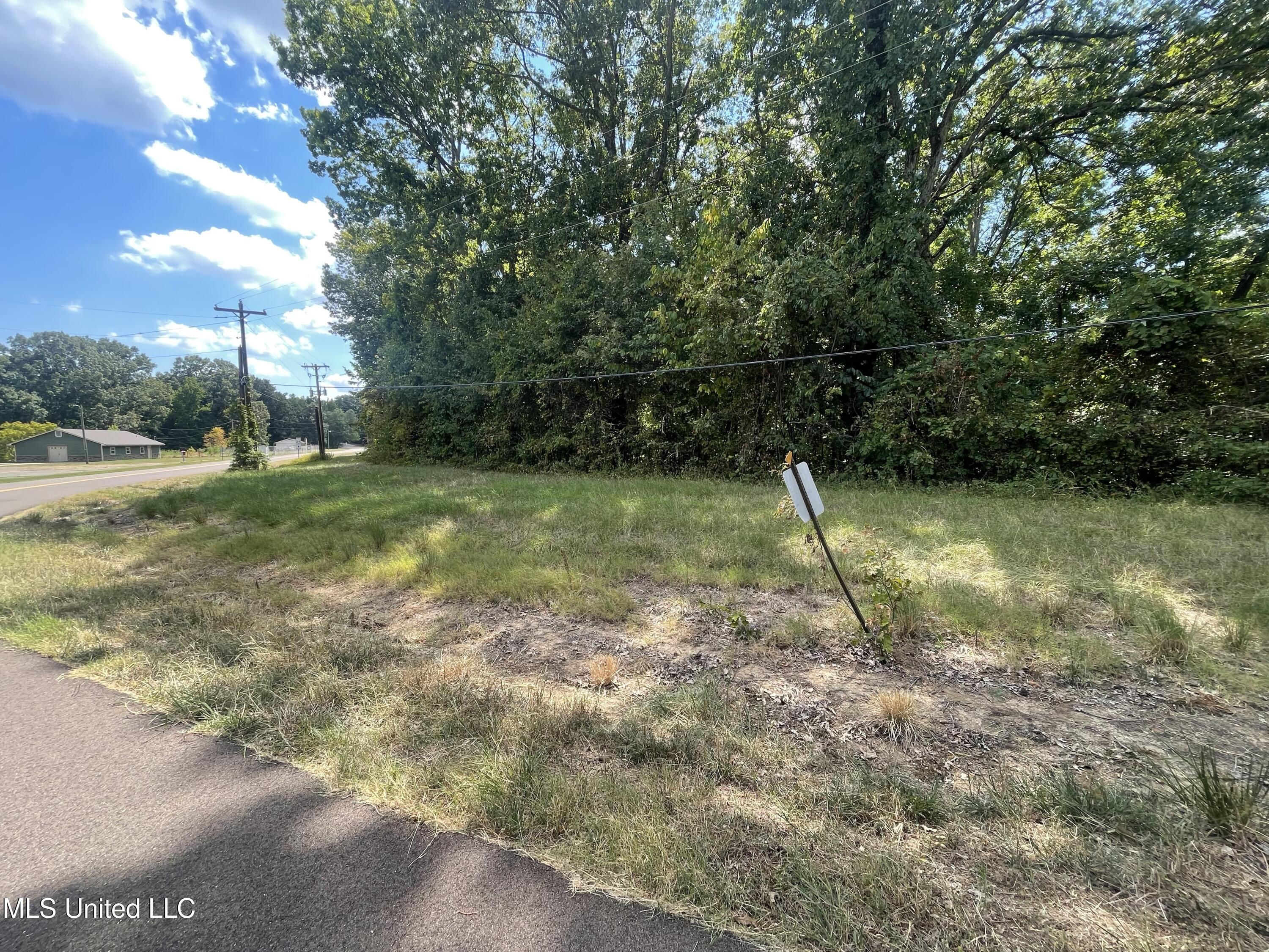 Sequoyah Drive Hernando, MS 38632 - Photo 4 of 5 Lot 38 2