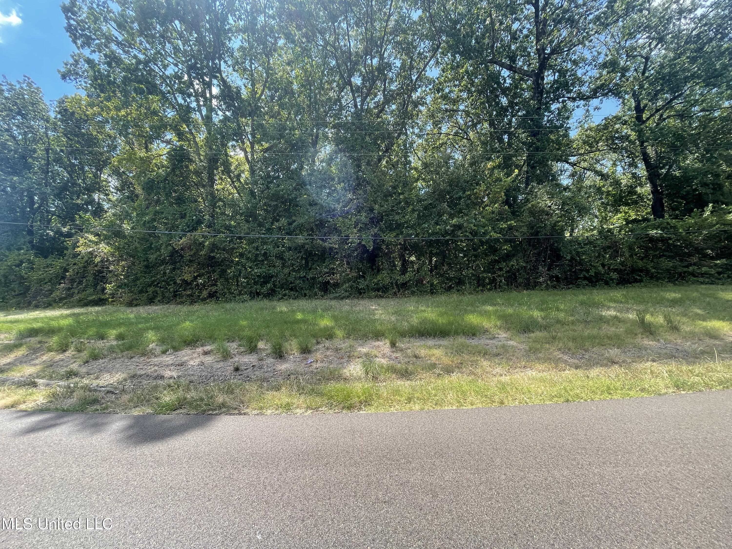 Sequoyah Drive Hernando, MS 38632 - Photo 5 of 5 Lot 38