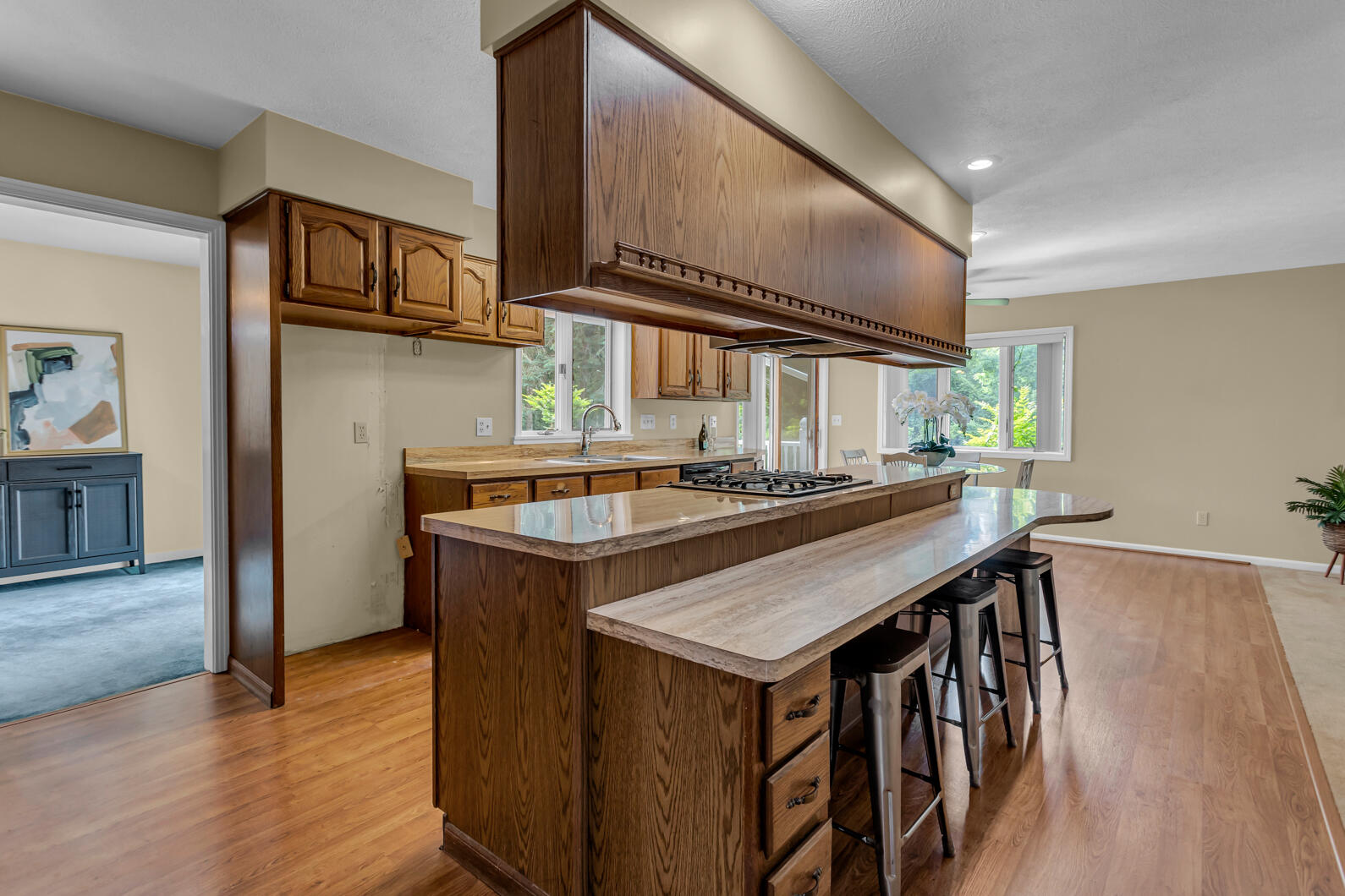 5951 Riverside Drive Jackson, MI 49201 - Photo 7 of 41 0N0A4323