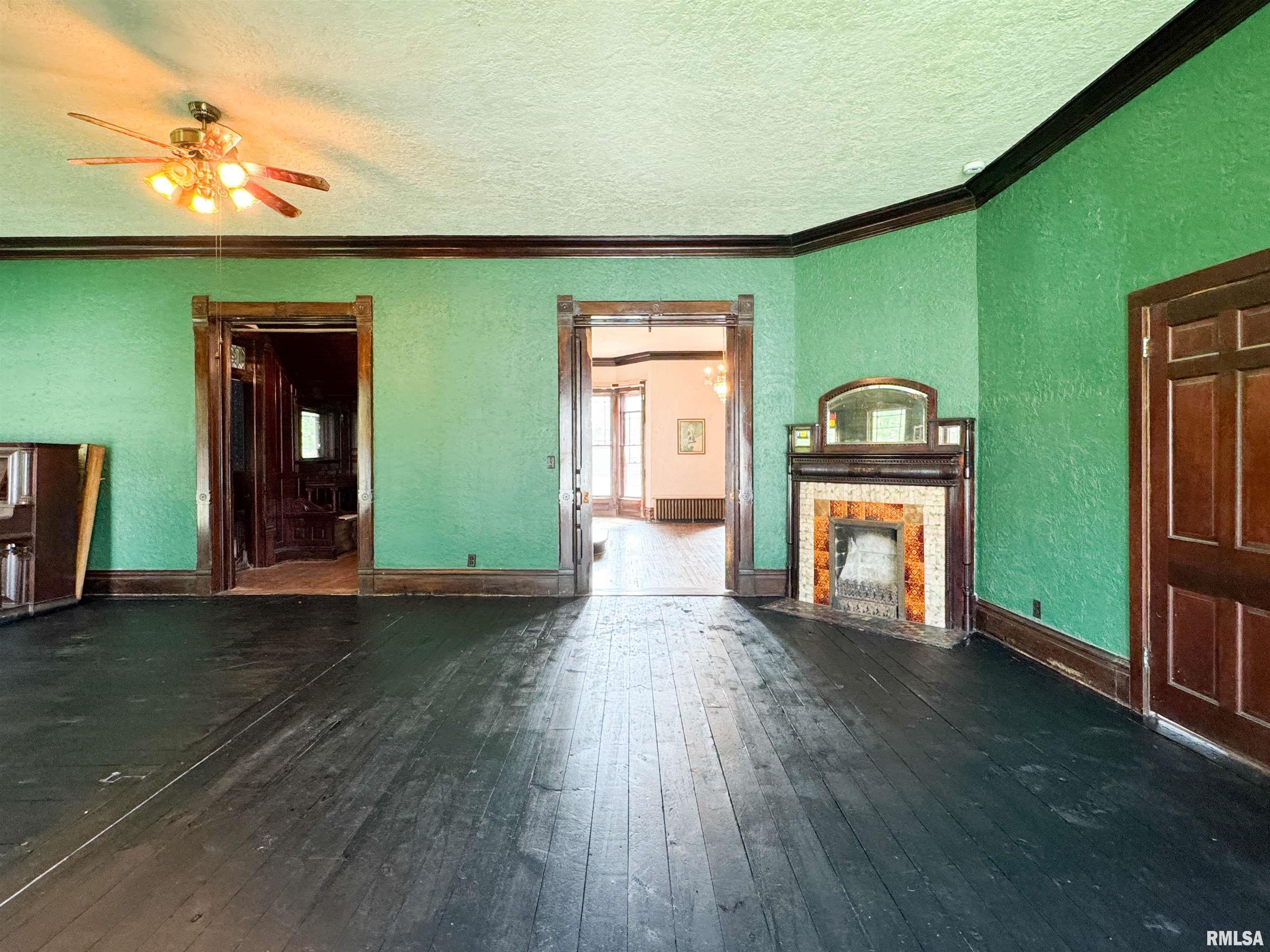 202 West 3rd Street Delavan, IL 61734 - Photo 11 of 53