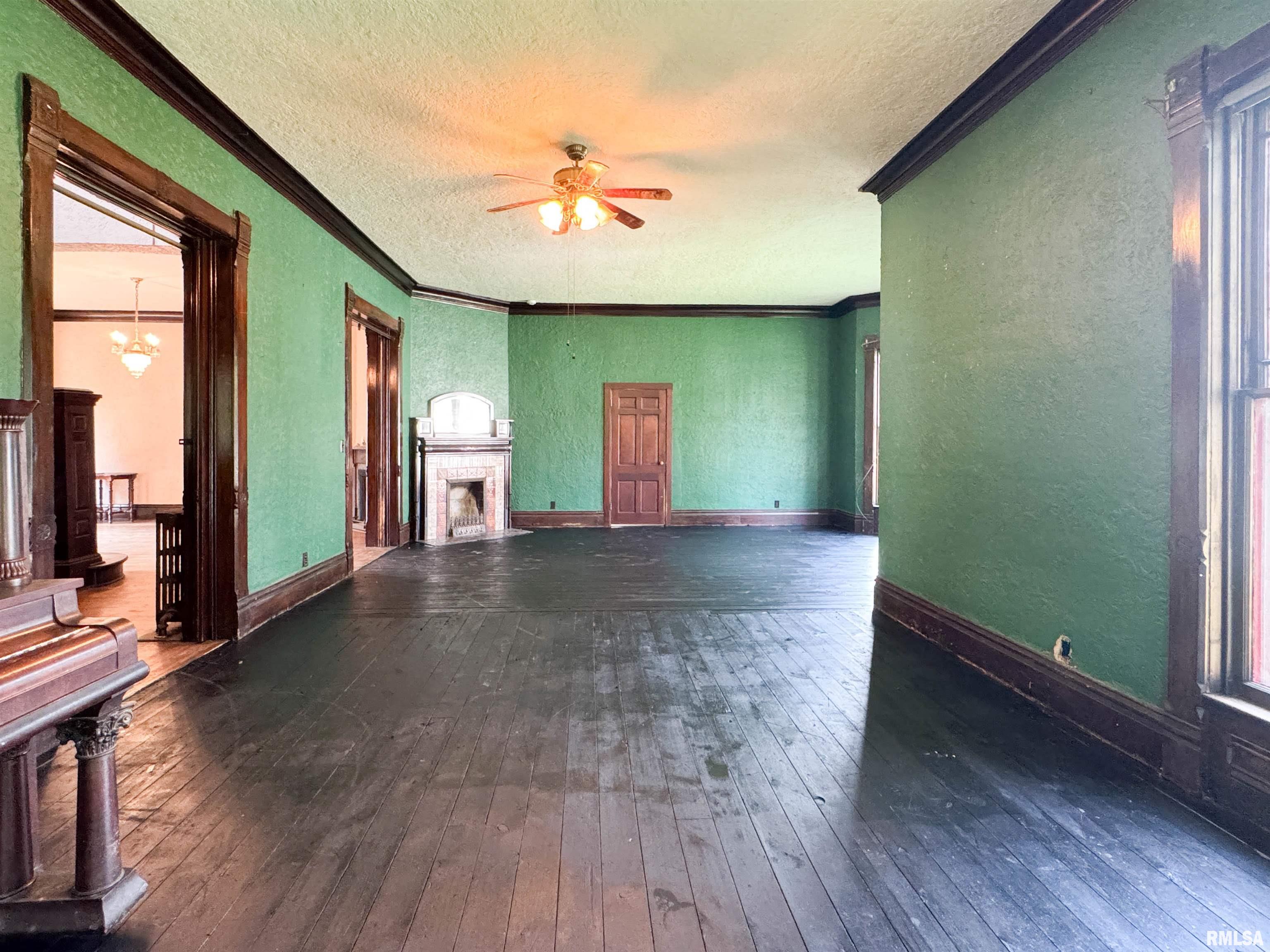 202 West 3rd Street Delavan, IL 61734 - Photo 13 of 53