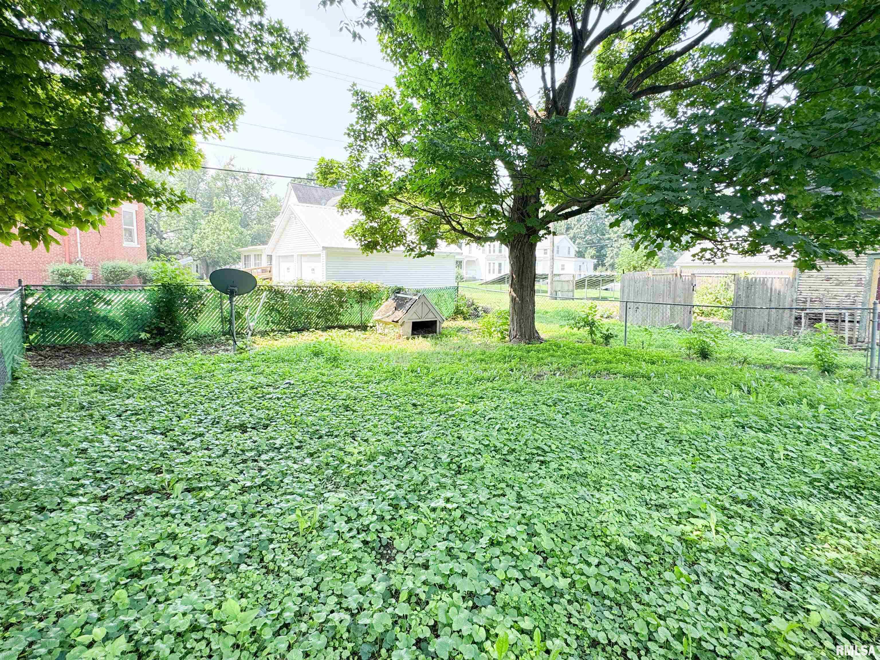 202 West 3rd Street Delavan, IL 61734 - Photo 52 of 53