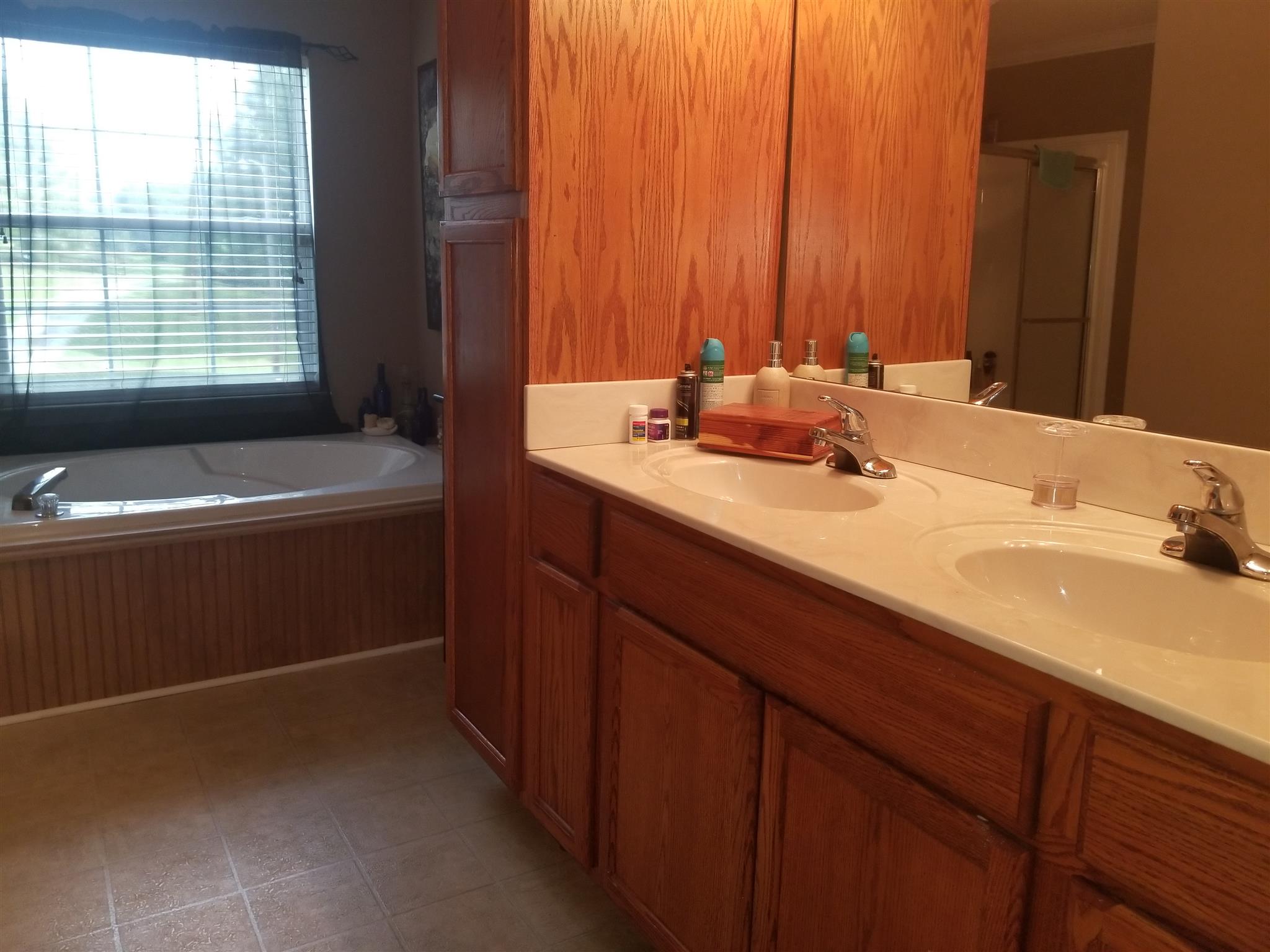 236 Fire Tower Road Dickson, TN 37055 - Photo 14 of 24 master bath with double vanities