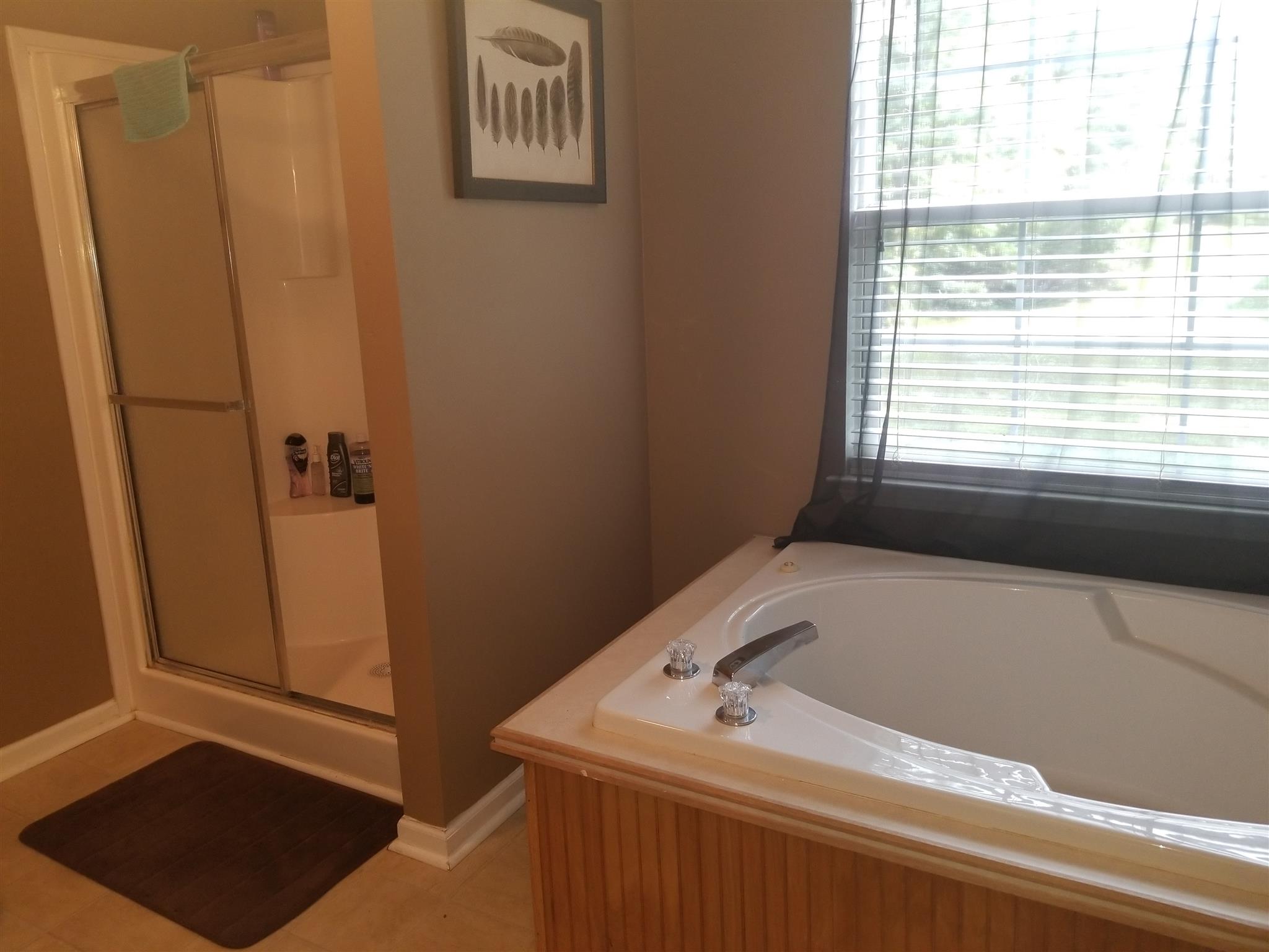 236 Fire Tower Road Dickson, TN 37055 - Photo 15 of 24 separate tub/shower in master bath