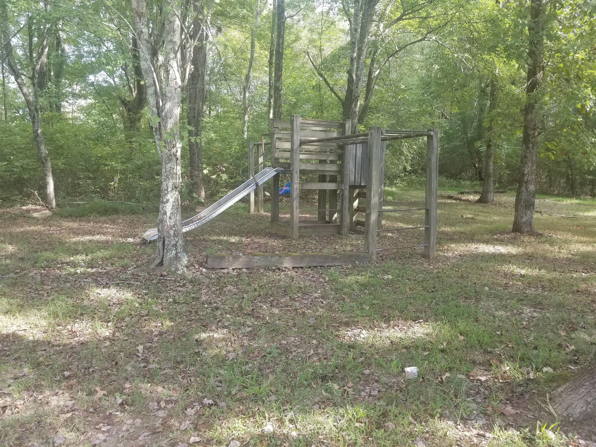 236 Fire Tower Road Dickson, TN 37055 - Photo 22 of 24 side yard