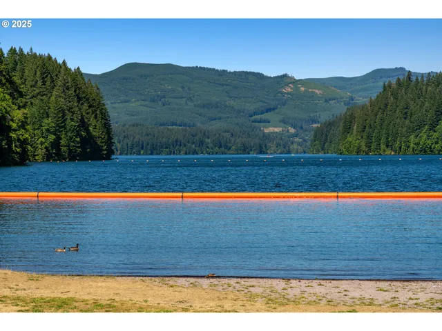 a view of backyard with mountain view