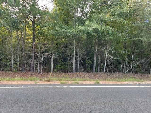 Tbd Bloomville Road Manning, SC 29102 - Photo 3 of 4