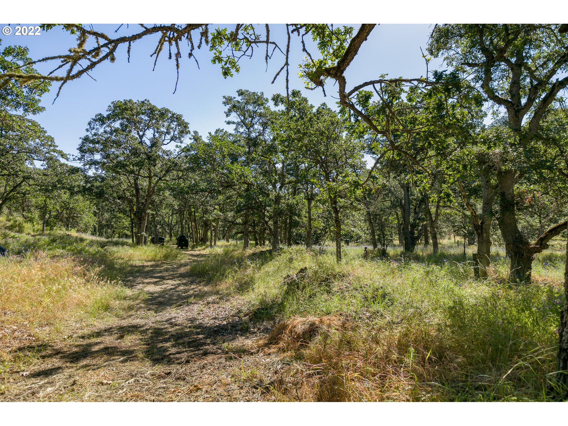 1795 Rowena Creek Road Mosier, OR 97040 - Photo 23 of 31 Gallery Image 23