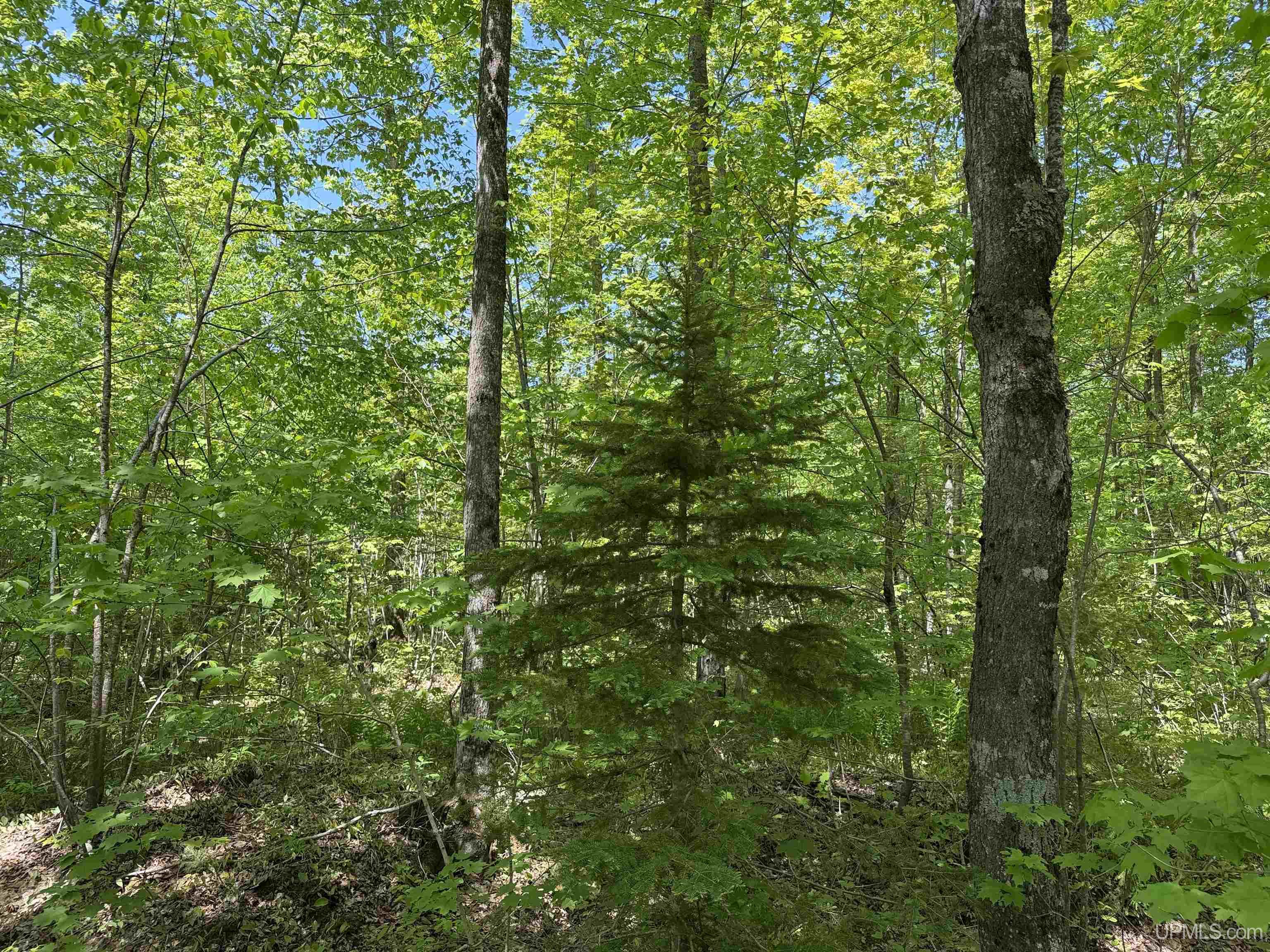 Off East Lake Road Ironwood, MI 49938 - Photo 12 of 30