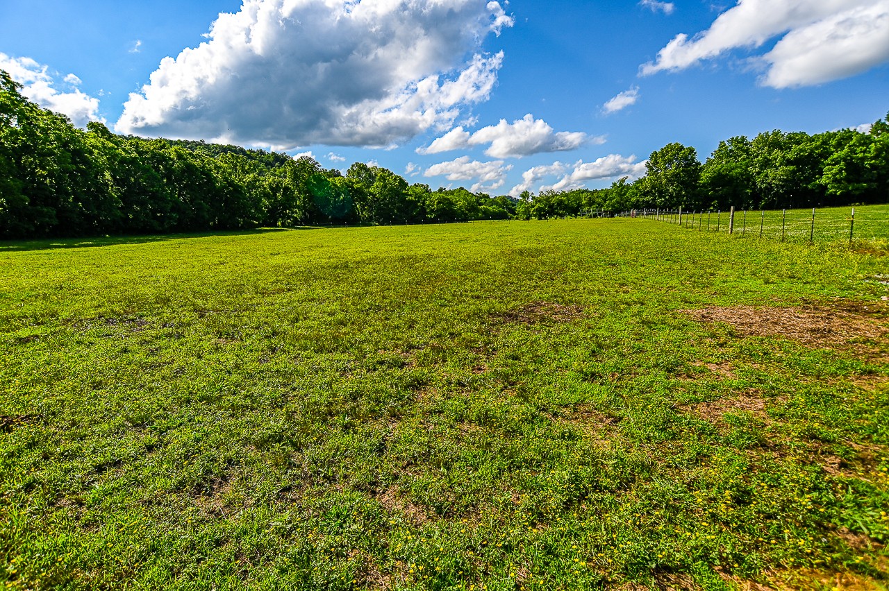 183 Lane Branch Road Fayetteville, TN 37334 - Photo 13 of 48 a view of a golf course with a lake