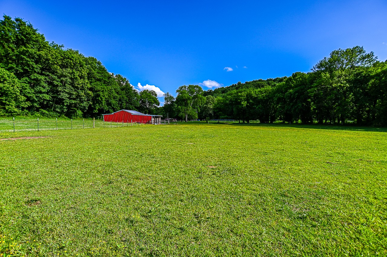 183 Lane Branch Road Fayetteville, TN 37334 - Photo 18 of 48 a view of a green field with clear sky