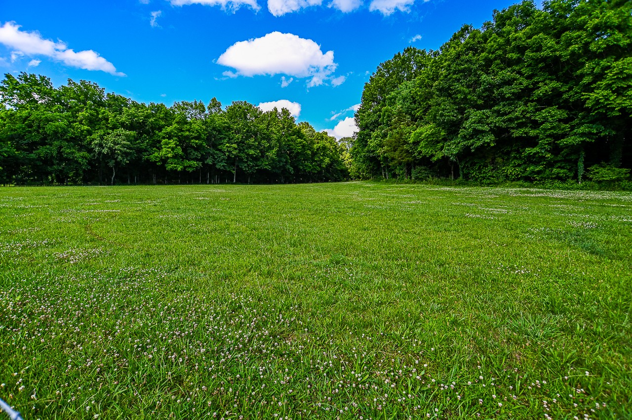 183 Lane Branch Road Fayetteville, TN 37334 - Photo 20 of 48 a view of a green yard