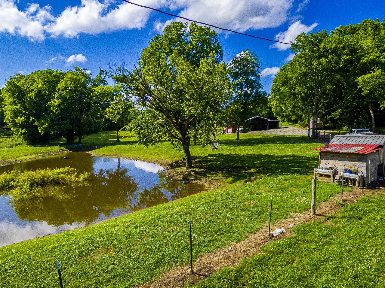 183 Lane Branch Road Fayetteville, TN 37334 - Photo 6 of 48 a view of a garden with an outdoor space