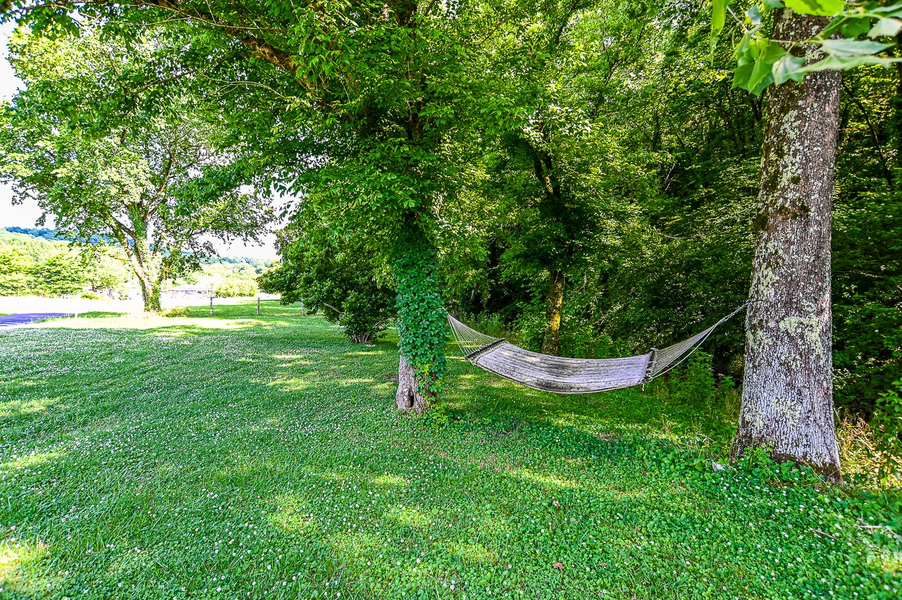 183 Lane Branch Road Fayetteville, TN 37334 - Photo 8 of 48 a view of a lush green space