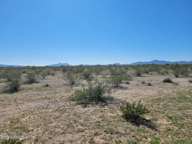 a view of a dry yard with trees