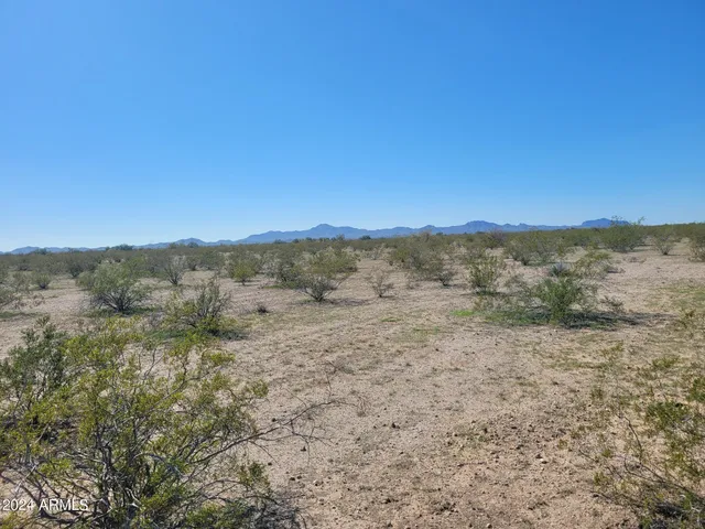 a view of a dry yard with trees in the background