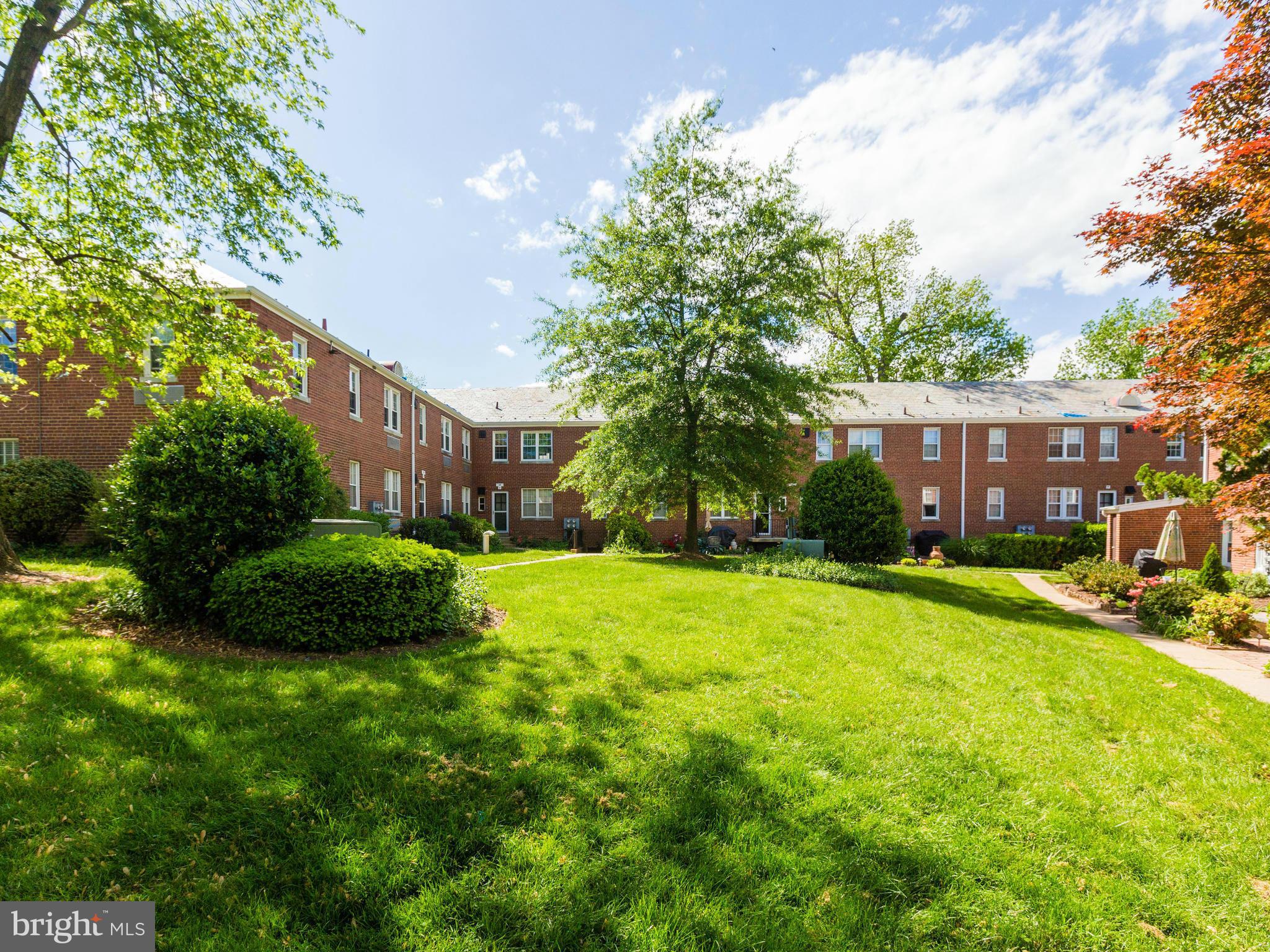 115 East Glebe Road, Unit A Alexandria, VA 22305 - Photo 19 of 19 Community Greenspace