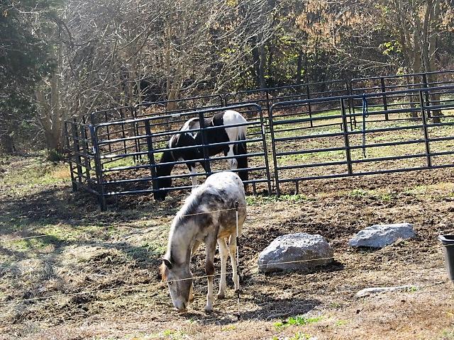 625 Coop Road Bell Buckle, TN 37020 - Photo 23 of 27 Gallery Image 23