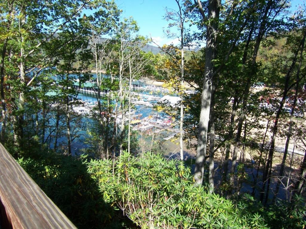 210 Fish Springs Road Hampton, TN 37658 - Photo 16 of 36 Photo 16