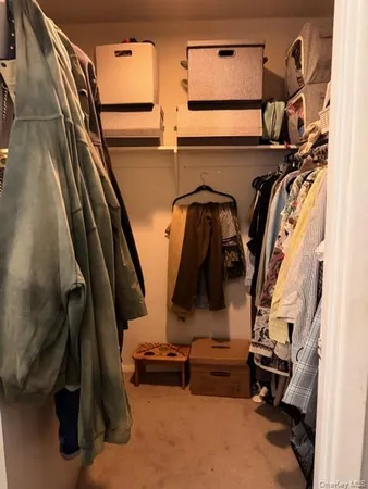 a view of walk in closet with clothes and shoes