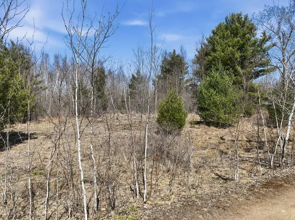 $45,000 | Lot 13 10 1/4 Avenue, Cameron, WI 54822