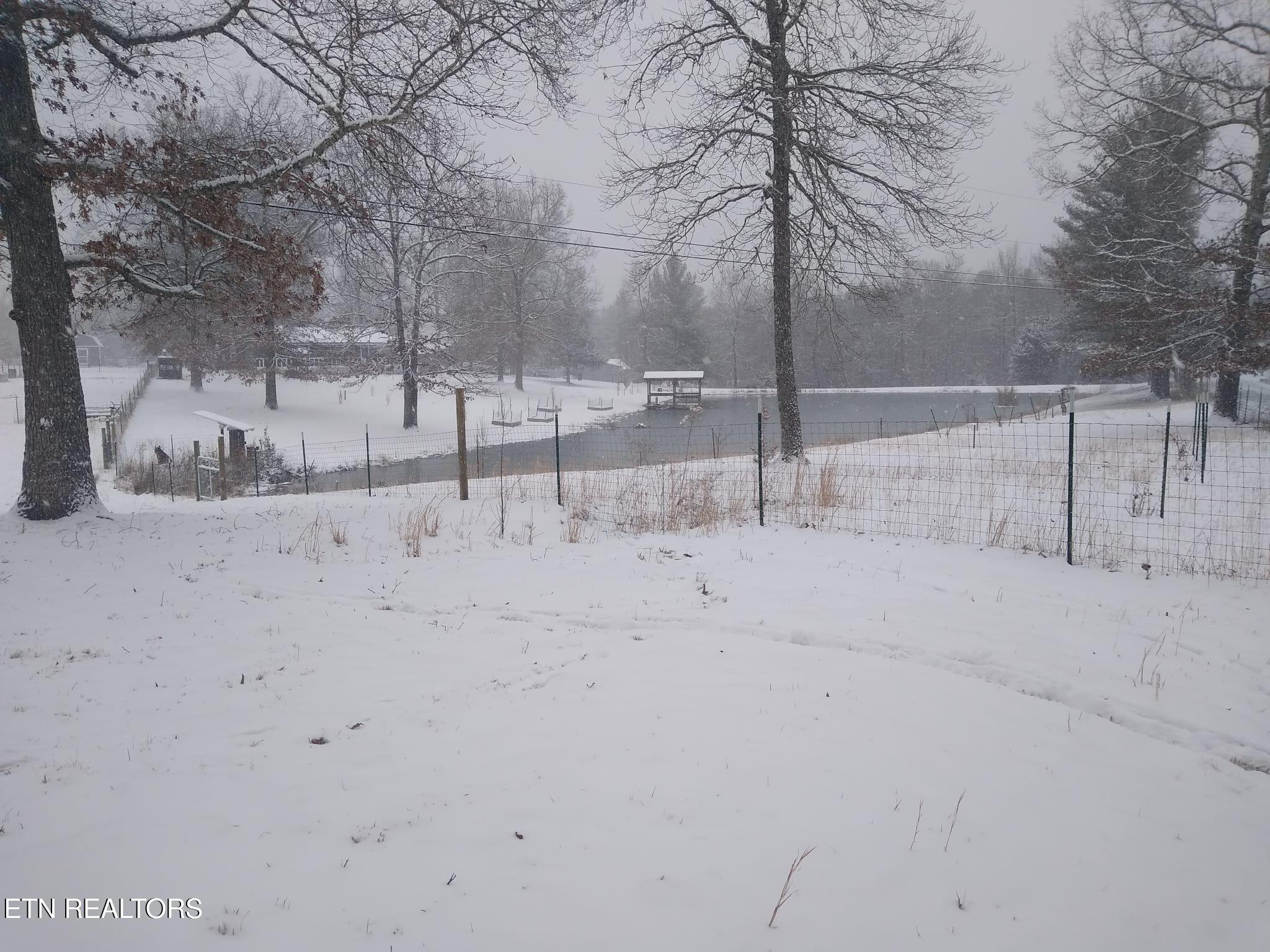 122 Frankfort Road Lancing, TN 37770 - Photo 59 of 60 Winter House and Pond