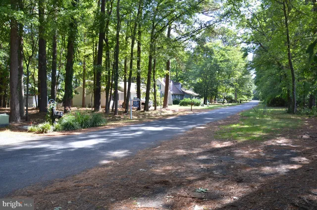 a view of road with trees