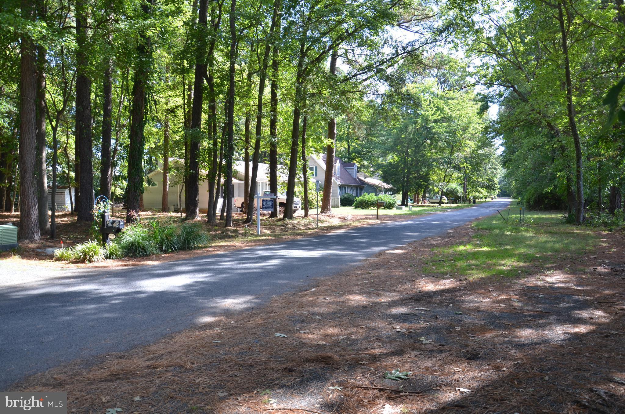 912 Calvert Avenue St. Michaels, MD 21663 - Photo 2 of 11 a view of road with trees