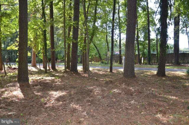 a view of outdoor space with lots of trees