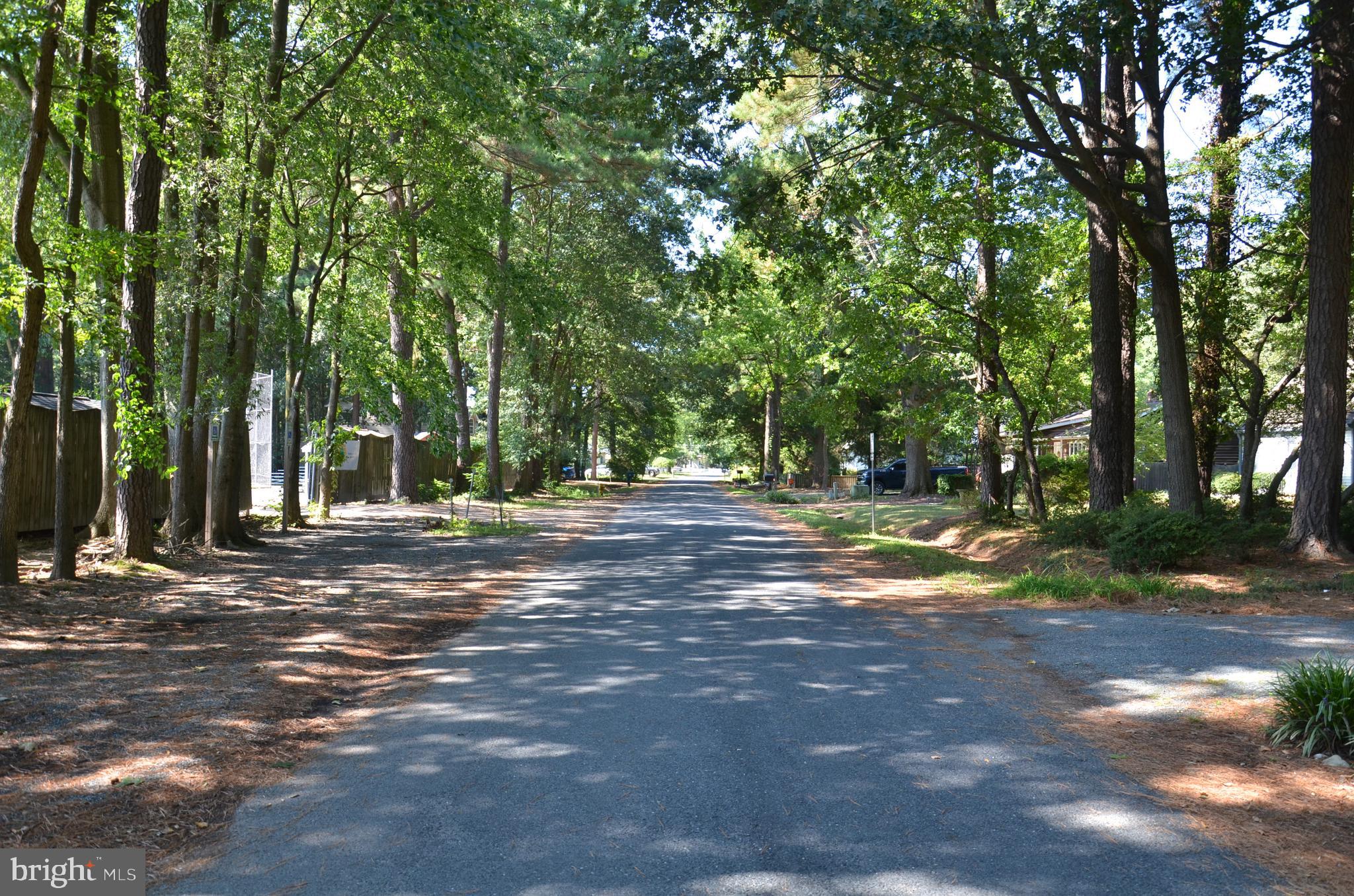 912 Calvert Avenue St. Michaels, MD 21663 - Photo 6 of 11 a view of a yard with large trees