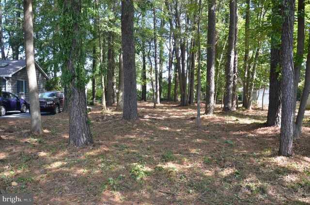 a view of outdoor space with green space